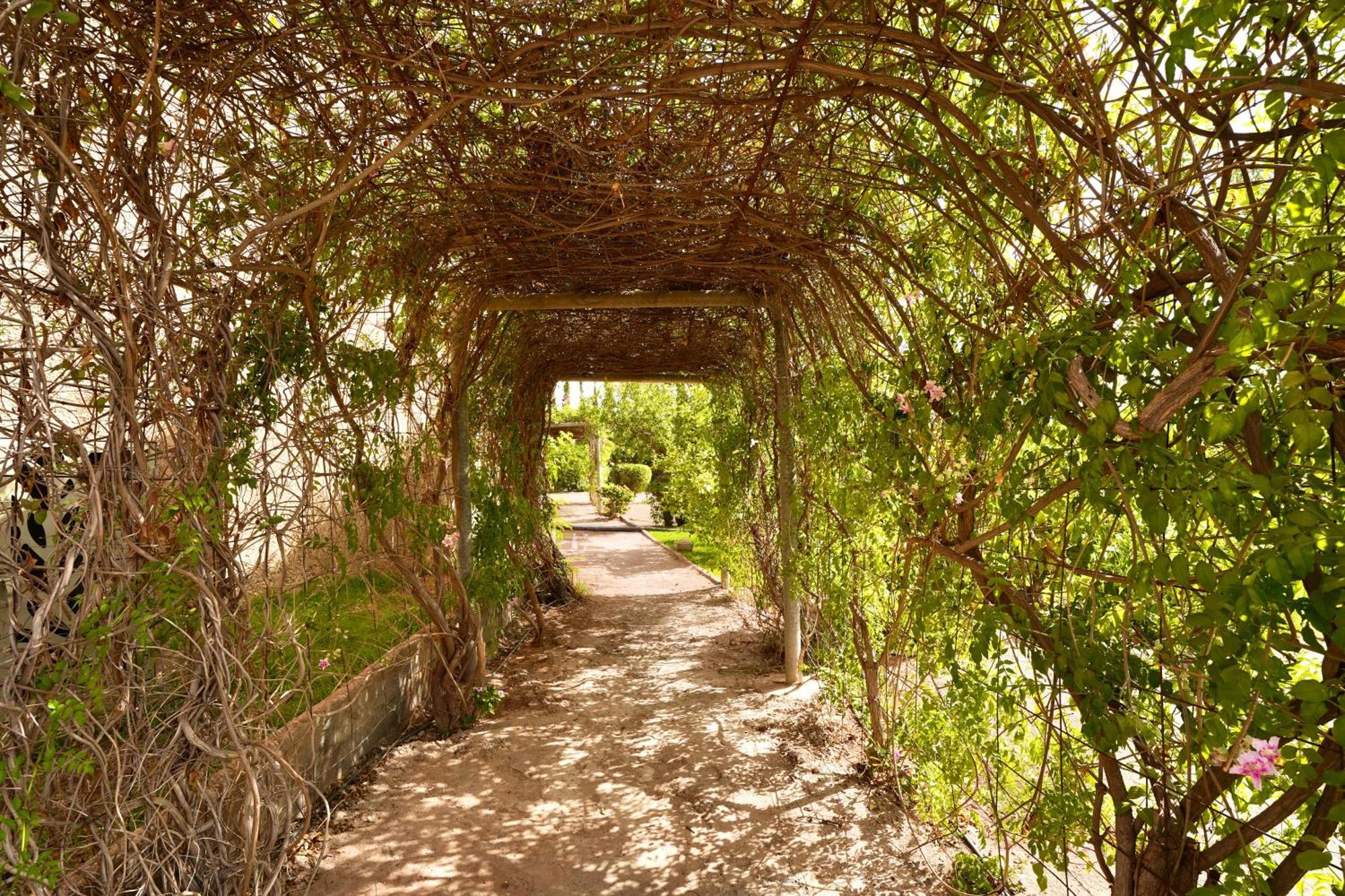 Ourika Camp Suites Hotel & Resort El Harkat エクステリア 写真